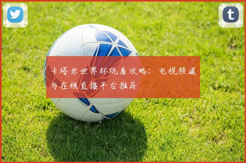 卡塔尔世界杯观看攻略：电视频道与在线直播平台推荐